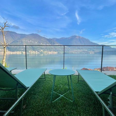 Il Noce Lake View Apartment Lezzeno Eksteriør bilde