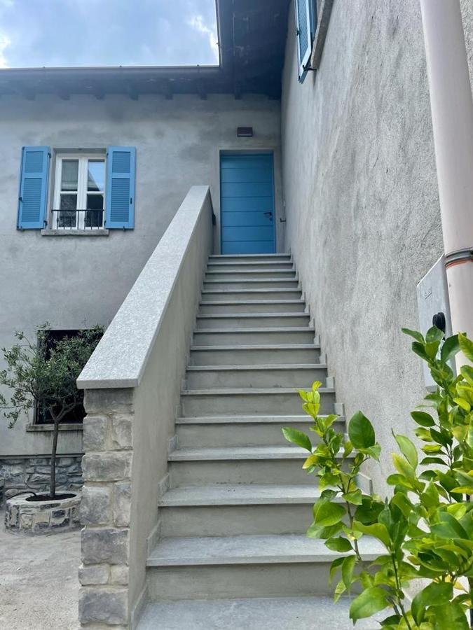 Il Noce Lake View Apartment Lezzeno Eksteriør bilde