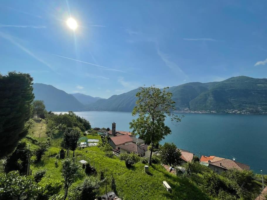 Il Noce Lake View Apartment Lezzeno Eksteriør bilde